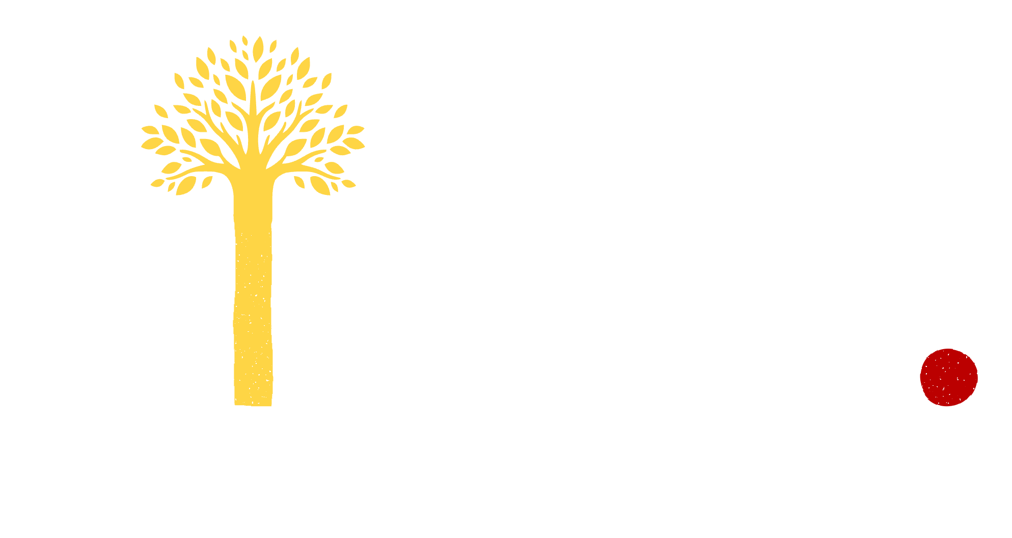 STILL HERE. GAZA | 2023–2026
